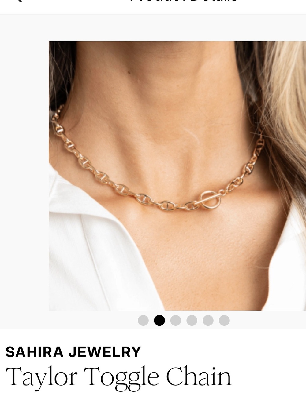 Sahira Jewelry Taylor Toggle Chain - gold